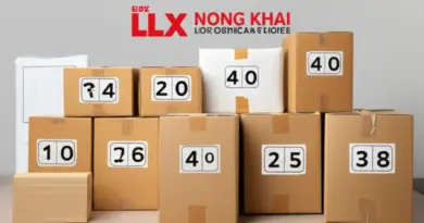 คำแนะนำการแพ็กสินค้าและขนาดน้ำหนักที่เหมาะสมสำหรับส่งกับ LEX หนองคาย