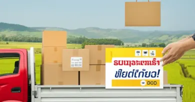 ค่าใช้จ่ายและตัวเลือกการส่งของจากสุรินทร์: ค่าบริการปกติ, เก็บเงินปลายทาง (COD) และโปรโมชั่นท้องถิ่น